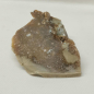 Preview: Opalisiertes Versteinertes Holz